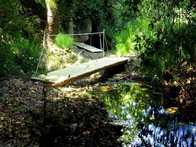 SKIATHOS - HIKING IN THE AEGEAN PARADISE