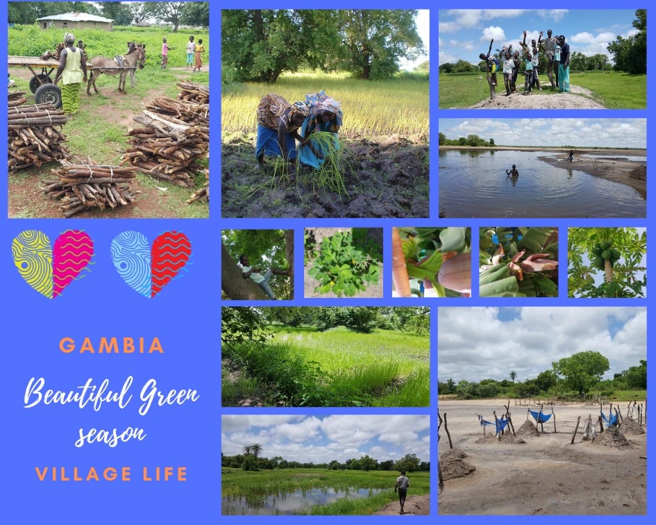 Green season Gambia 2019