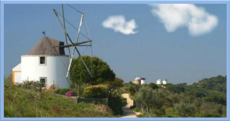 10 Reasons Why You Have to Visit Palmela