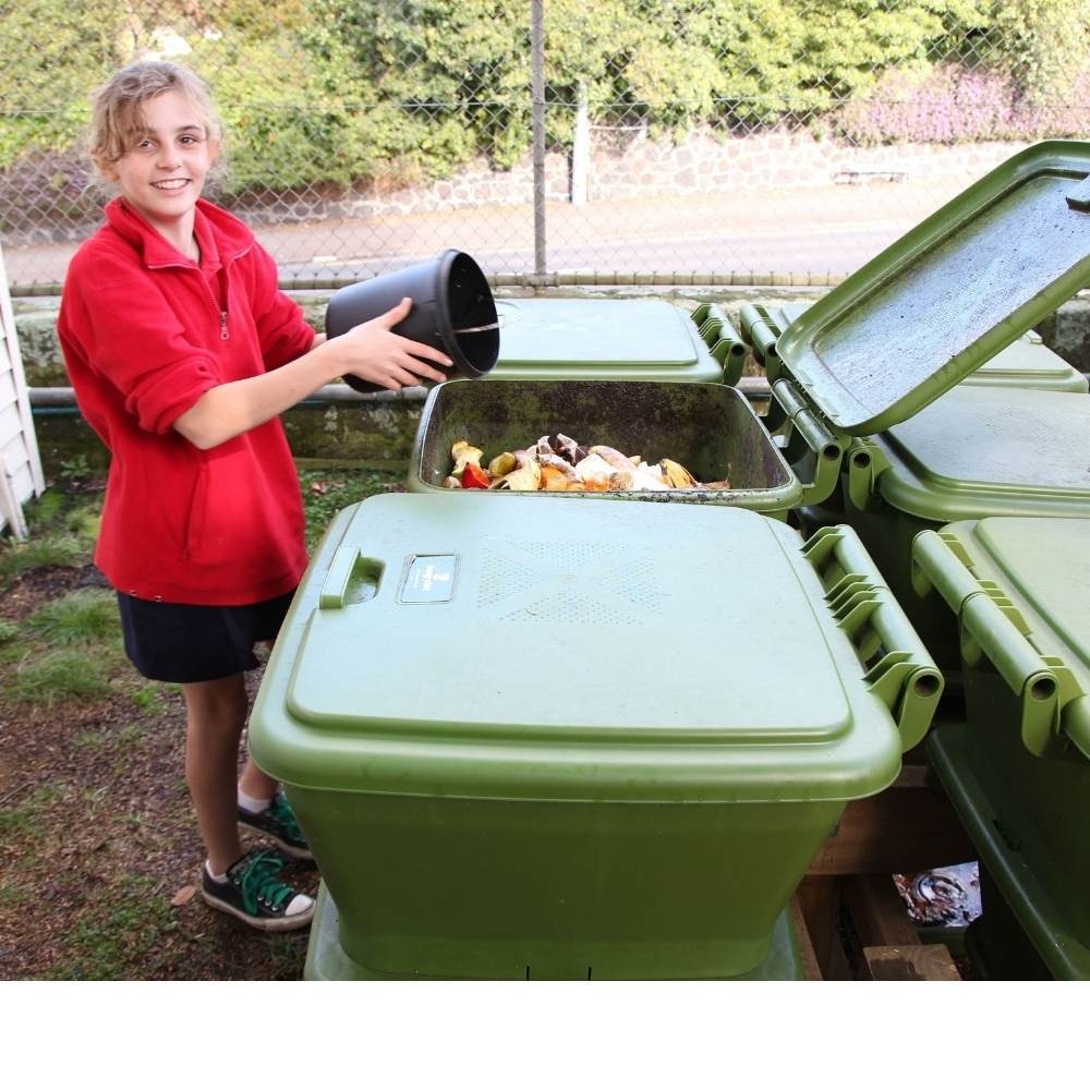 Educational ~ Composting by Zero Waste Cartel            If you want to know more