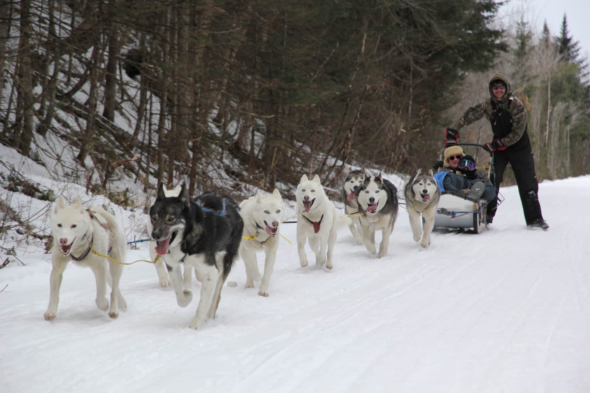 Family Adventures in Jefferson NH: The Ultimate Vacation Guide