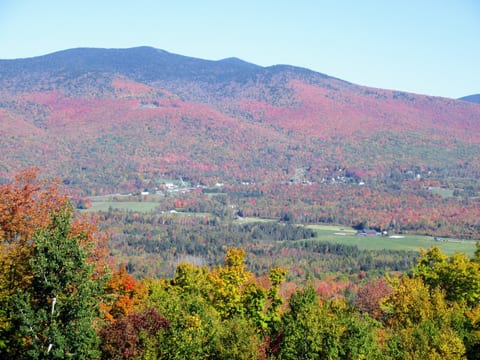 Autumn Foliage Vistas: Peak Fall Colors at Bray Hill House