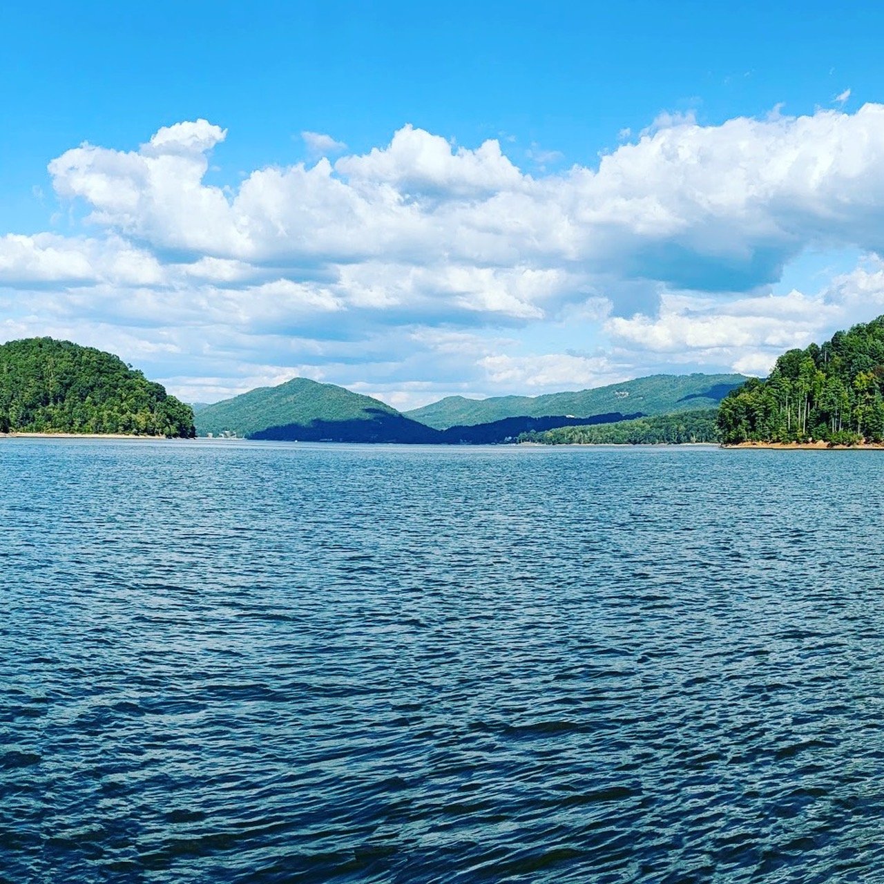 Discover Watauga Lake | A Hidden Gem in East Tennessee
