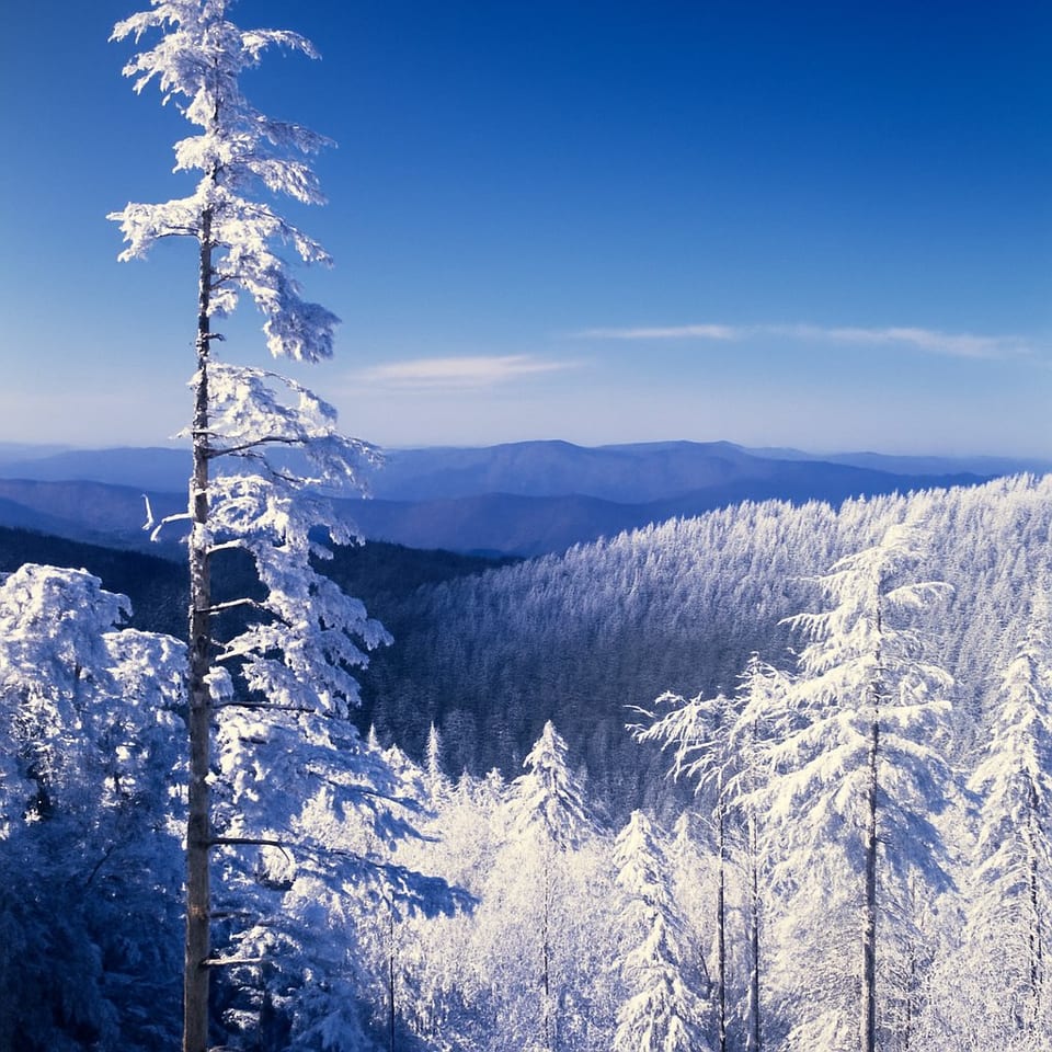 Why Winter Works for a Smoky Mountain Cabin Trip