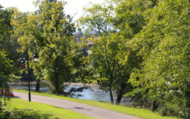 Dog-Friendly Things to Do Near Pigeon Forge, TN