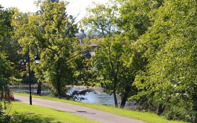 Dog-Friendly Things to Do Near Pigeon Forge, TN