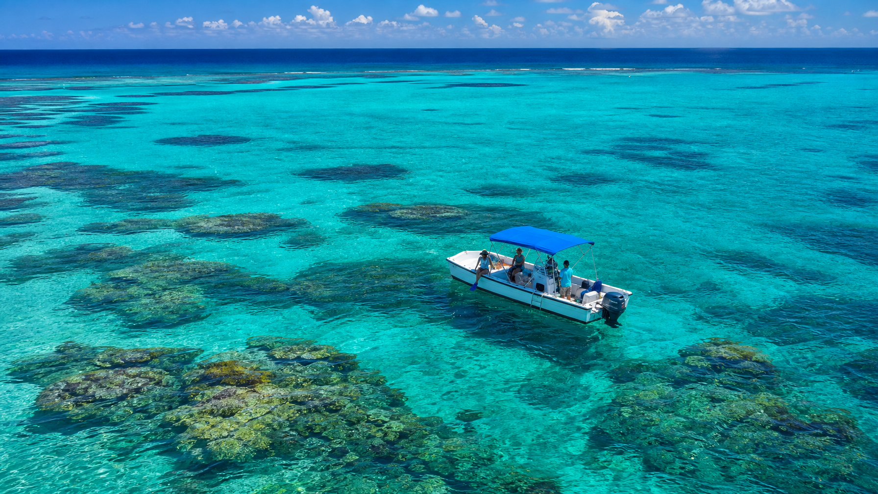 Snorkelers on the Belize Barrier Reef on a clear day
