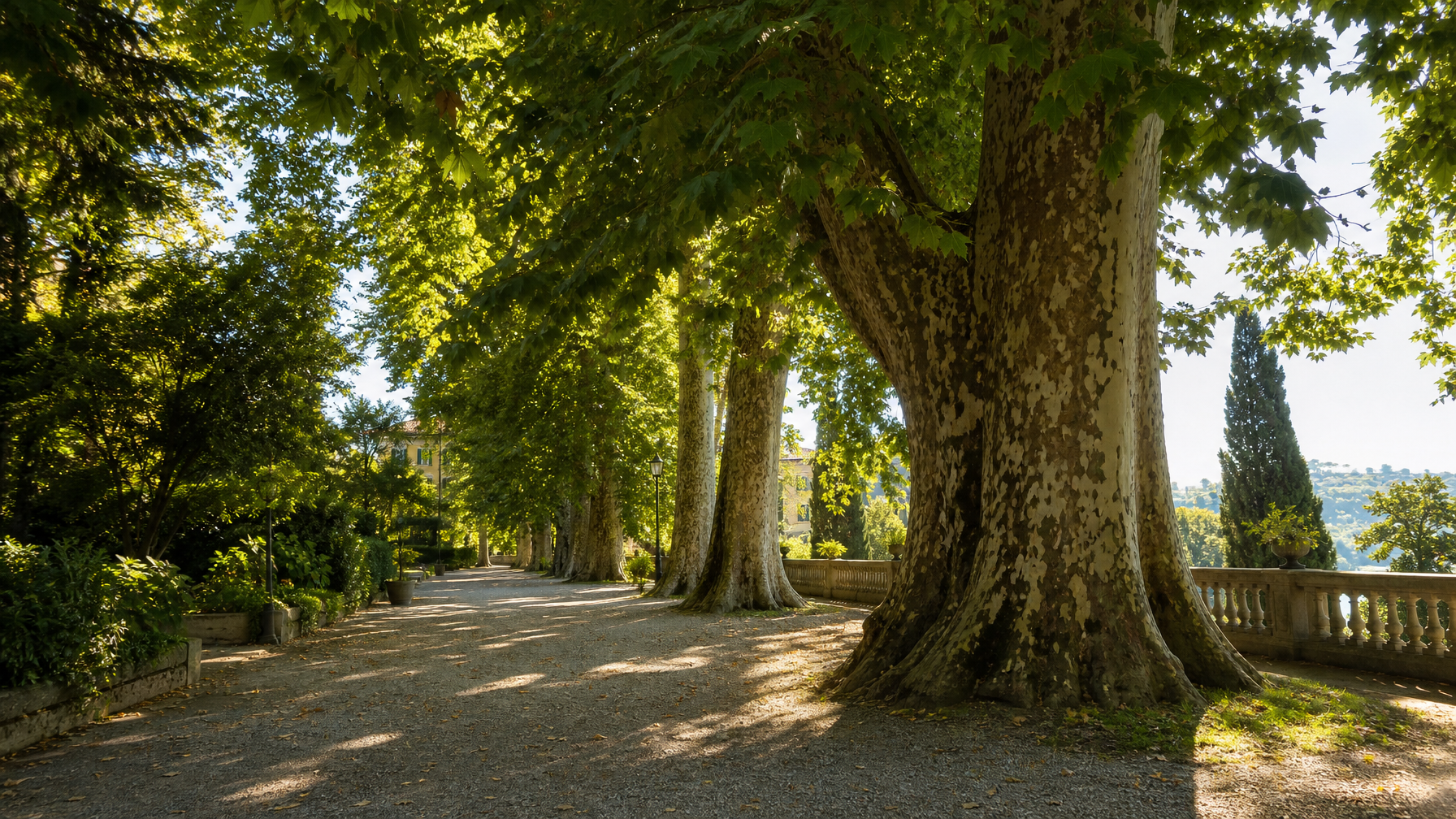 Monza park trees and pathway near the historic autodrome grounds