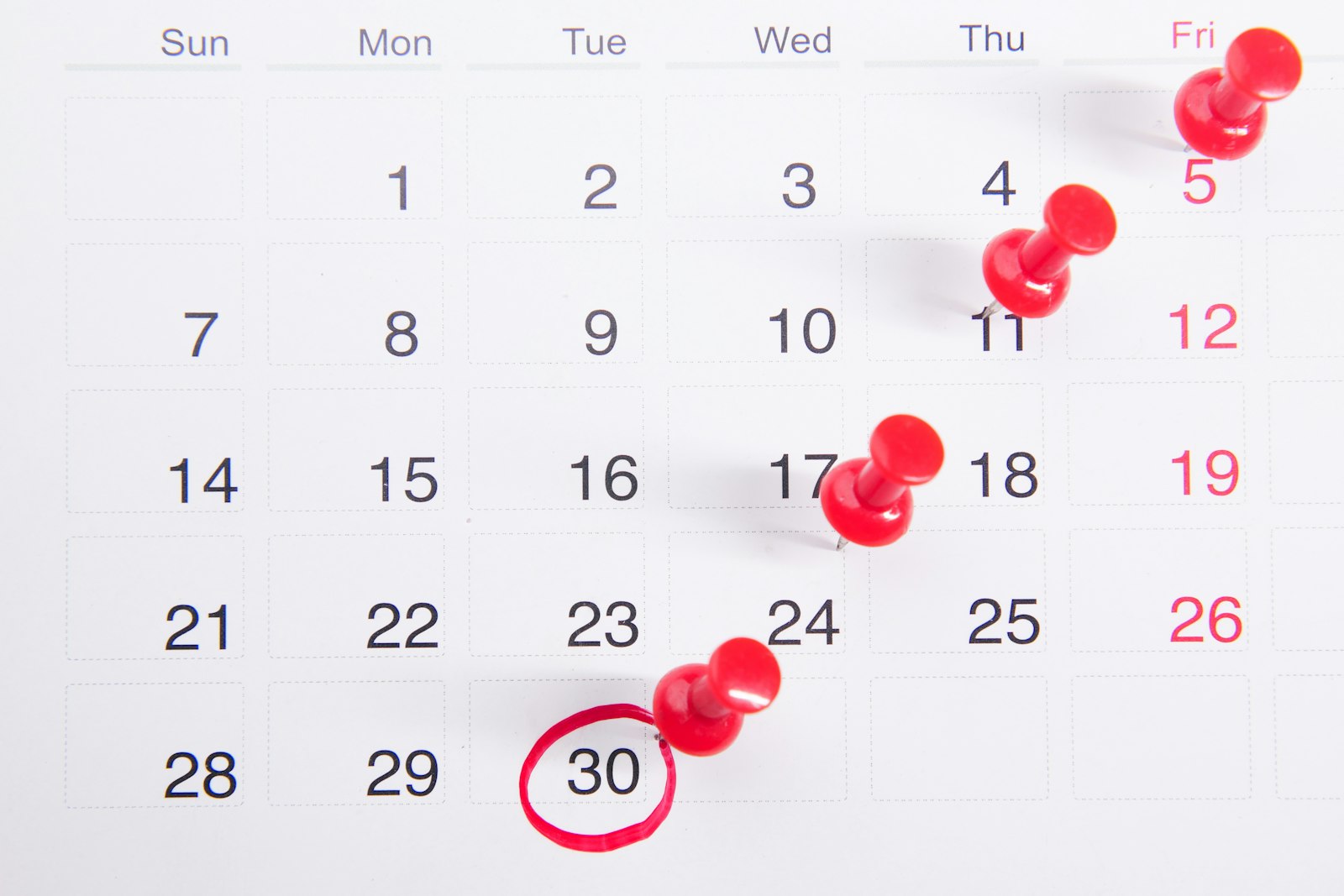 Wall calendar with dates marked by red pins, used to track a pricing deadline