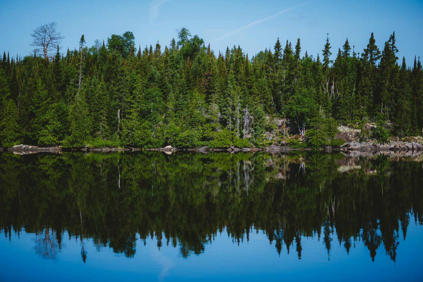 Calm lake ringed by dense forest in Minnesota's Boundary Waters, the area Lonely Planet named in Best in Travel 2027.