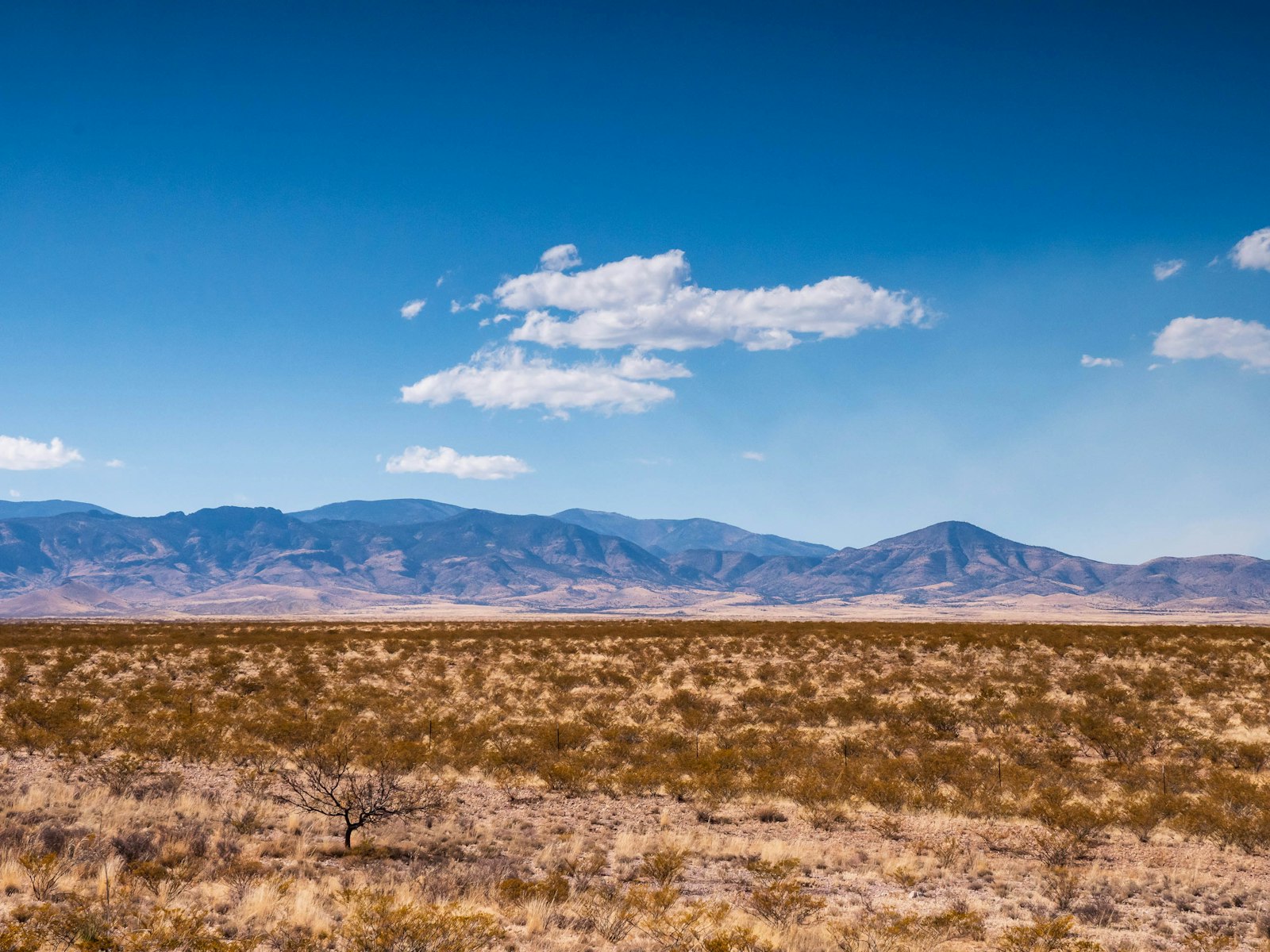 Wide open high-desert plain with the San Mateo Mountains rising in the distance in central New Mexico.