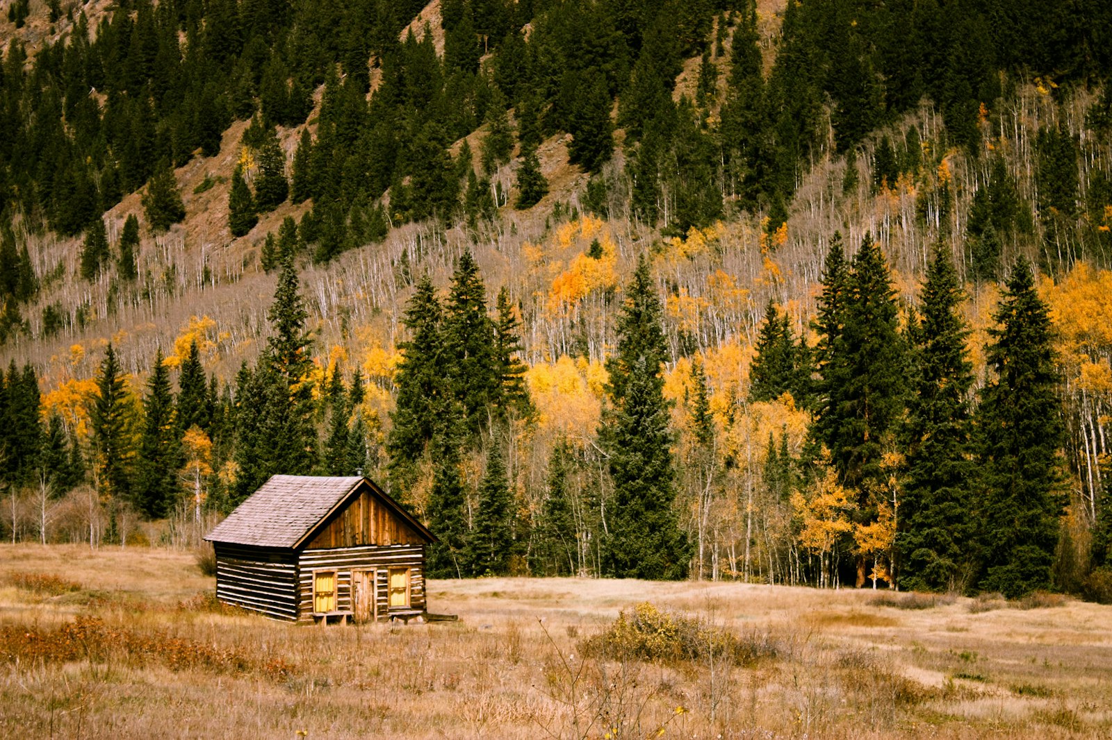 Log cabin in autumn woods, the quieter shoulder season after summer travel