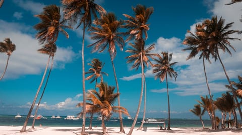 Best Punta Cana Vacation Rentals for Winter 2026-27