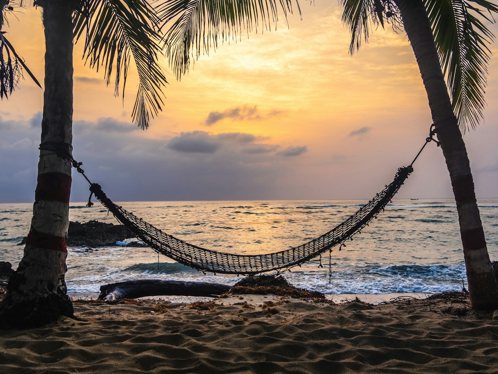 Empty hammock strung between coconut palms above a quiet shoreline at golden hour.