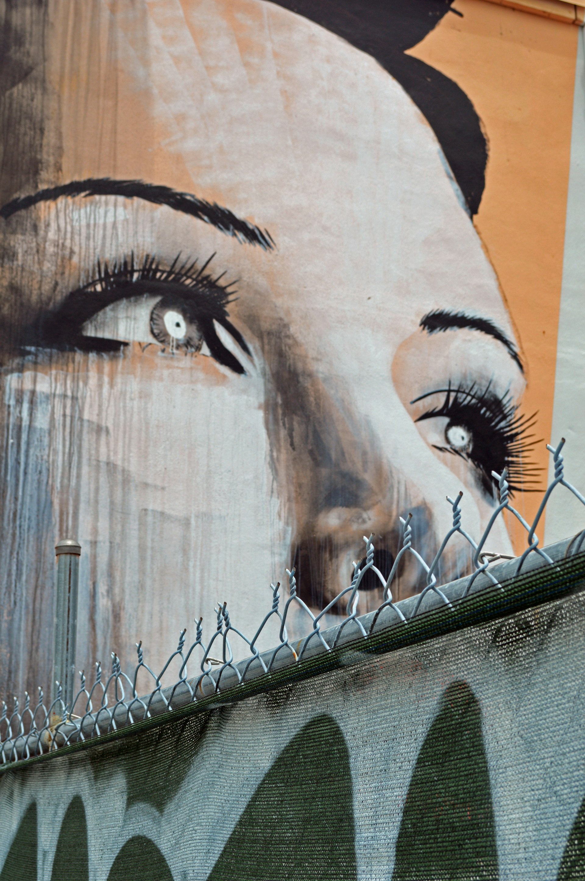Mural of a woman's face on a wooden wall at Wynwood Walls