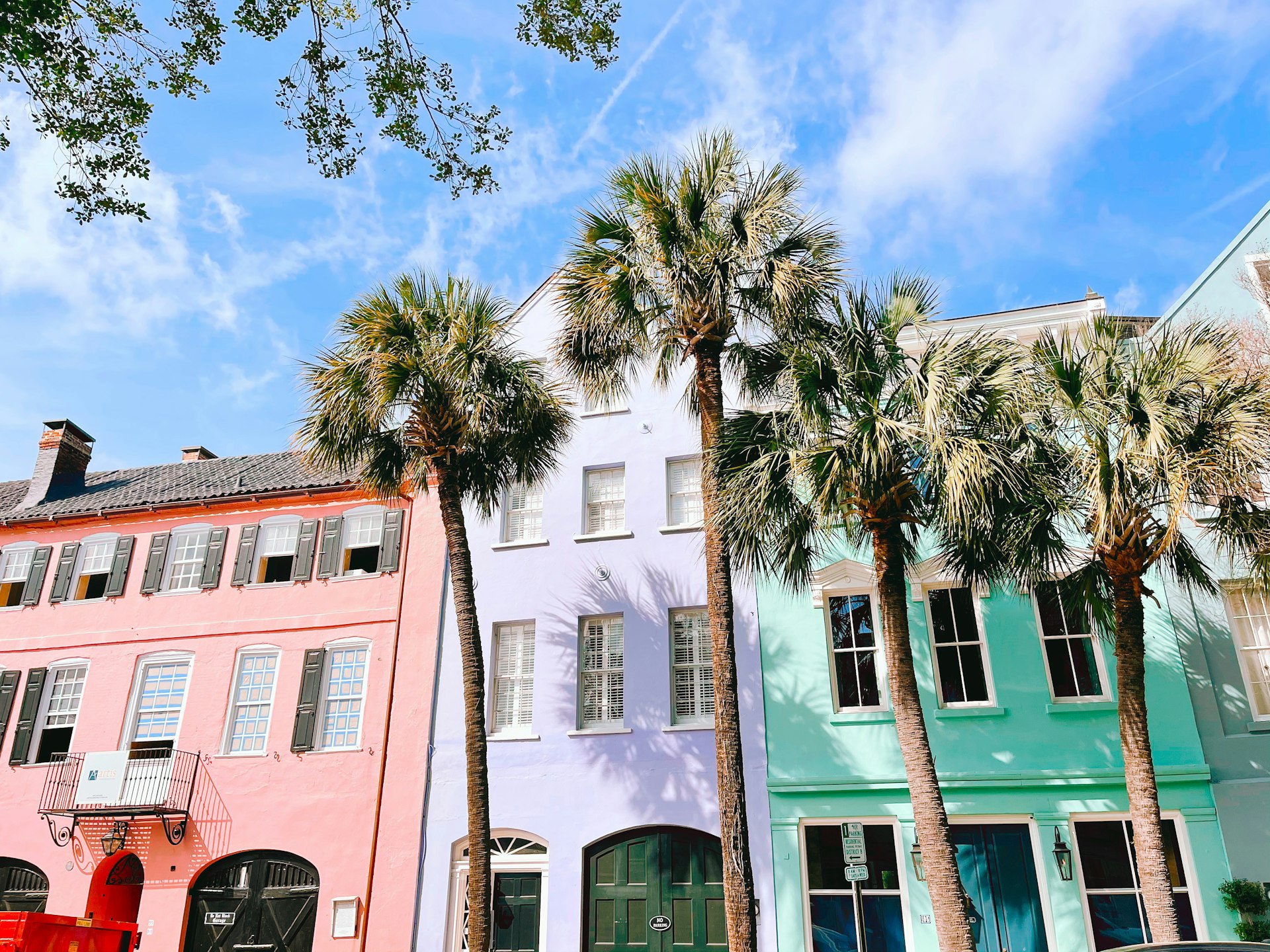 Palm tree beside a white and pink historic Charleston house in daylight