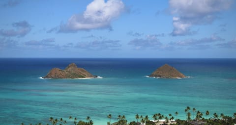 Best Honolulu and Oahu Vacation Rentals for Winter 2026-27