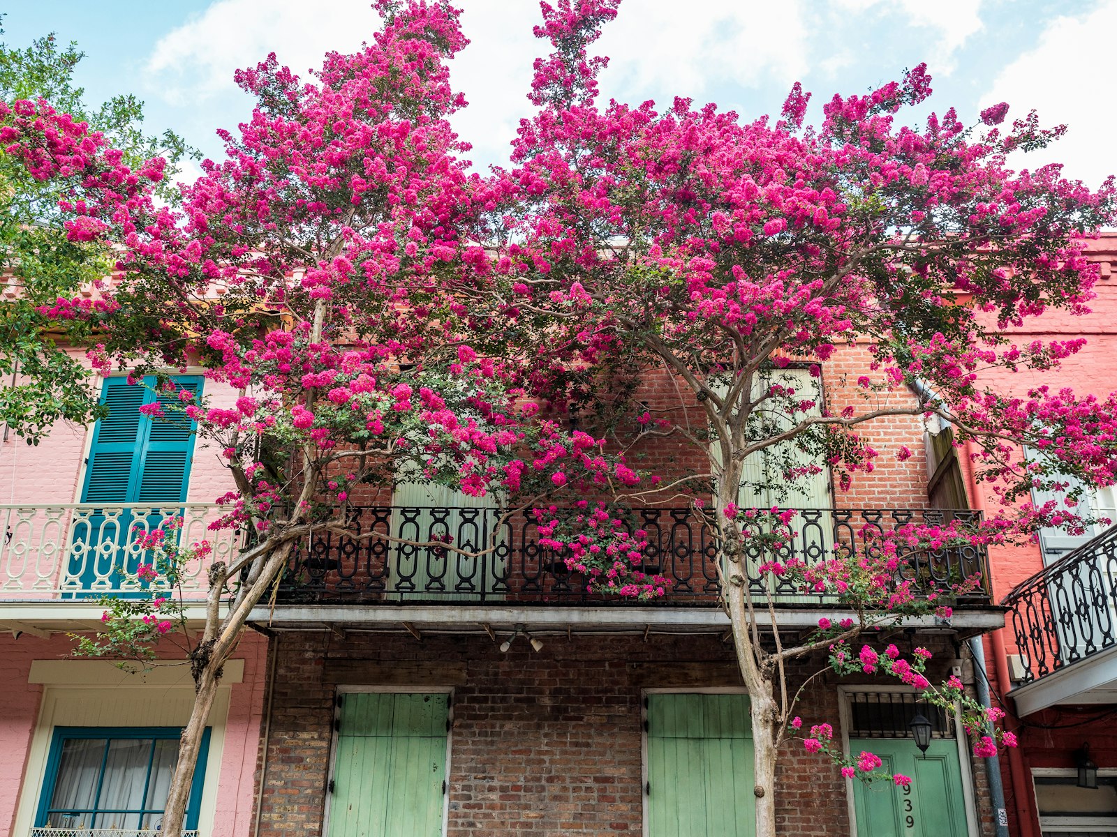 Best New Orleans Vacation Rentals for the Holidays and Winter 2026-27