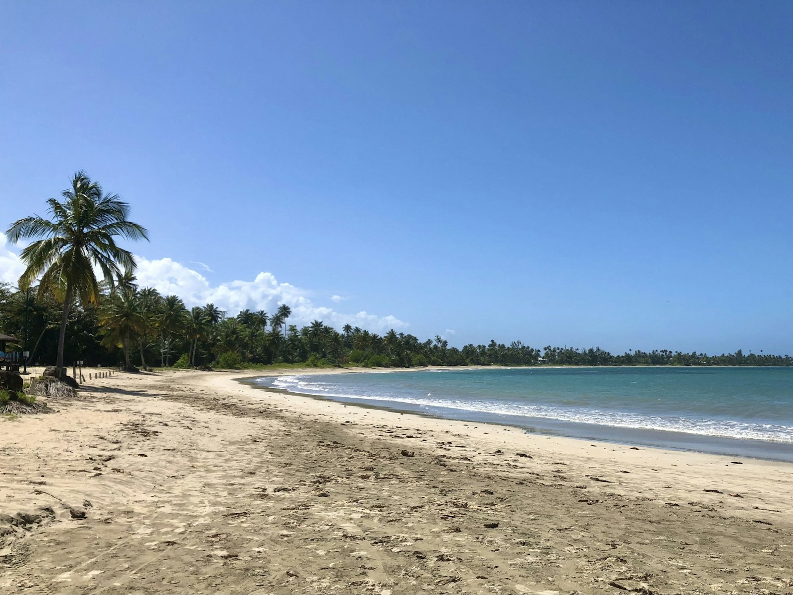 Balneario de Dorado public beach with palms and calm water on Puerto Rico's north coast