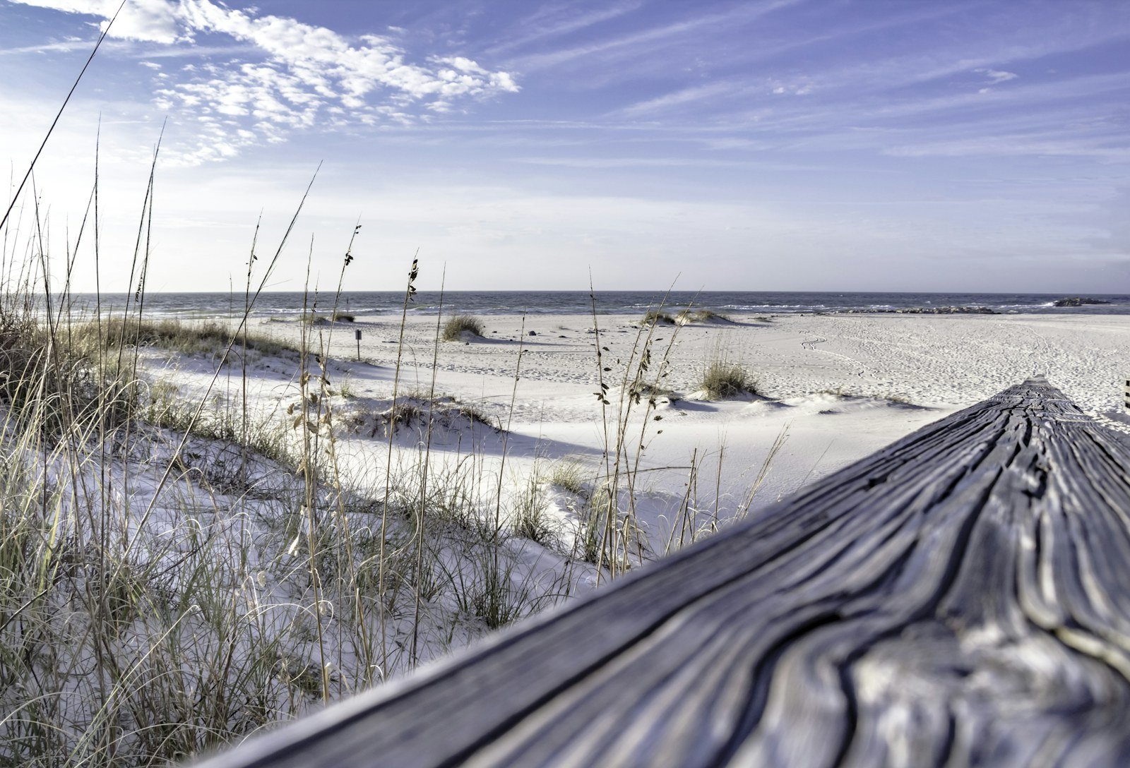 Sea oats and white sand dunes beside a weathered boardwalk rail at The Pass, Orange Beach, Alabama