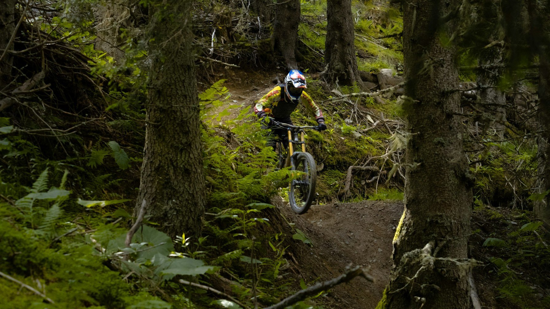 A mountain biker riding a singletrack trail through dense green forest