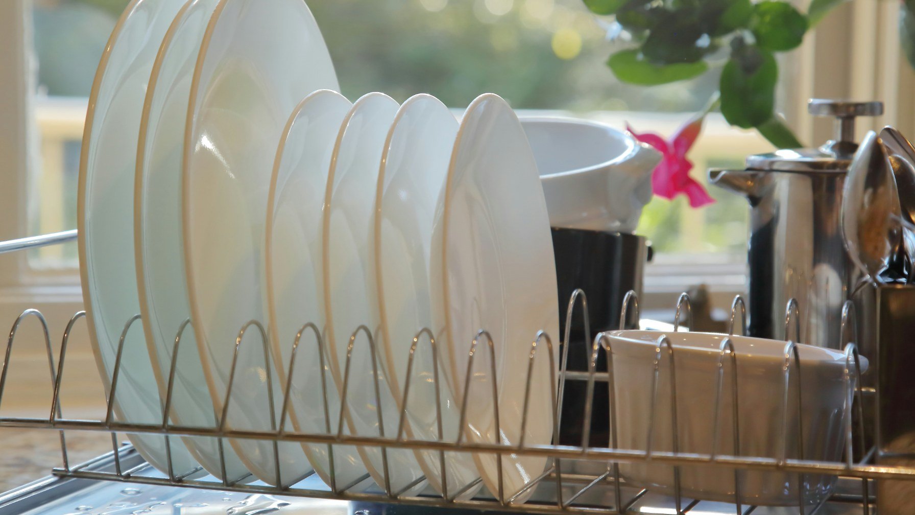 Clean plates stacked in a dish rack beside a kitchen sink in daylight