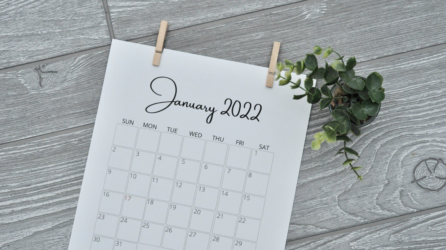A wall calendar showing a full month, hung beside a sprig of greenery
