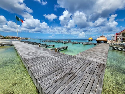 The Top 5 Guest Houses in Cozumel for an Authentic Island Escape