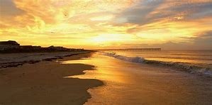 Why visit Golden Holden?