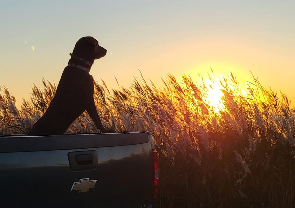 Sound Sunsets