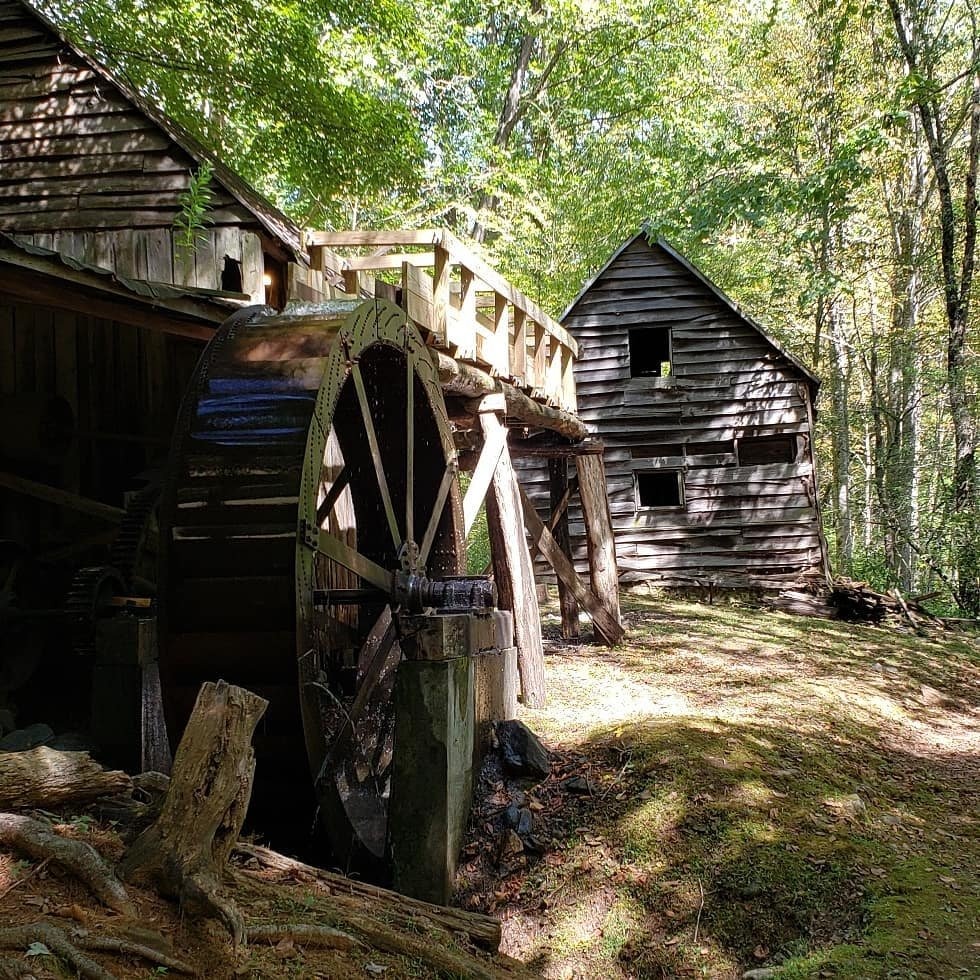 Labor Day Wknd Guest Photos