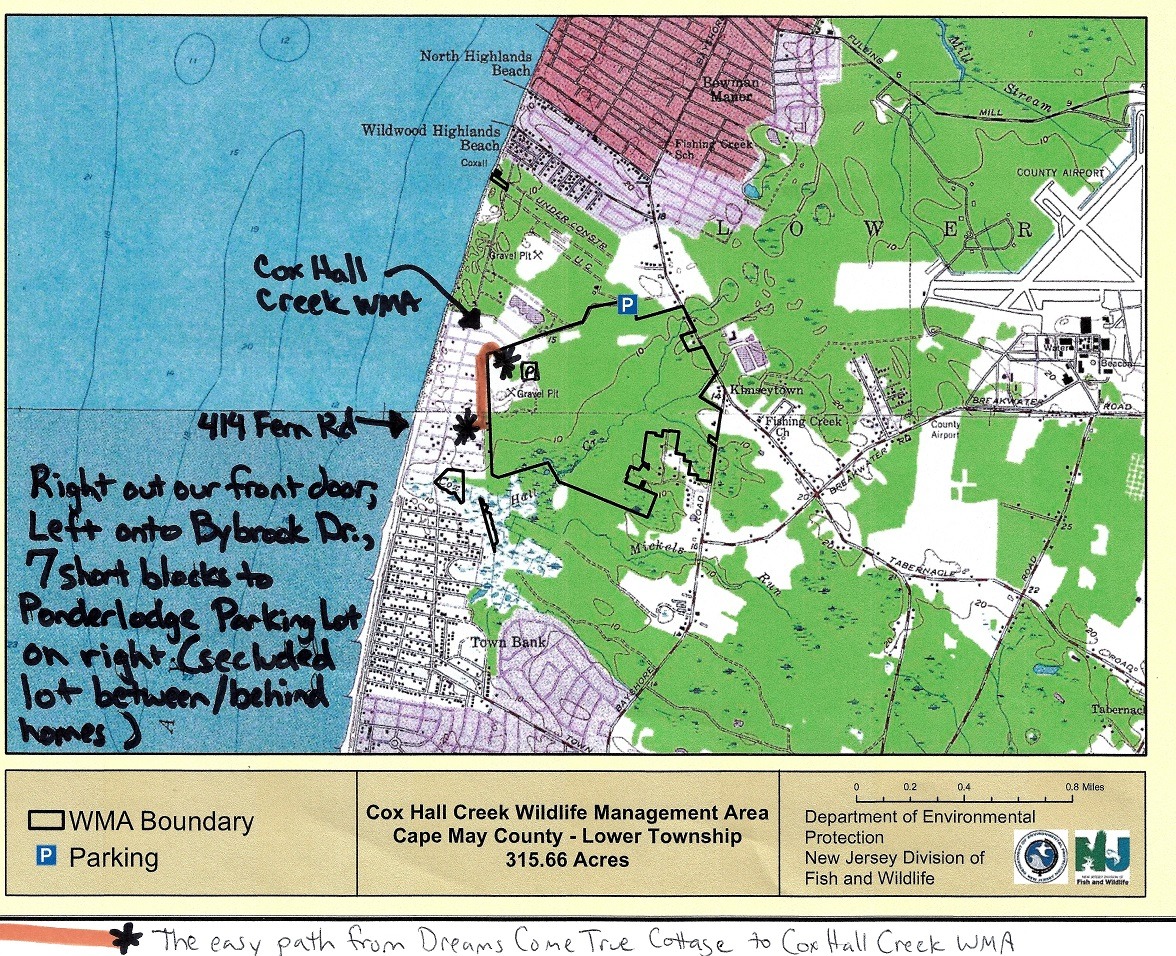 Try This Great Place For Your Next Stroll In The Cape May, NJ Area!