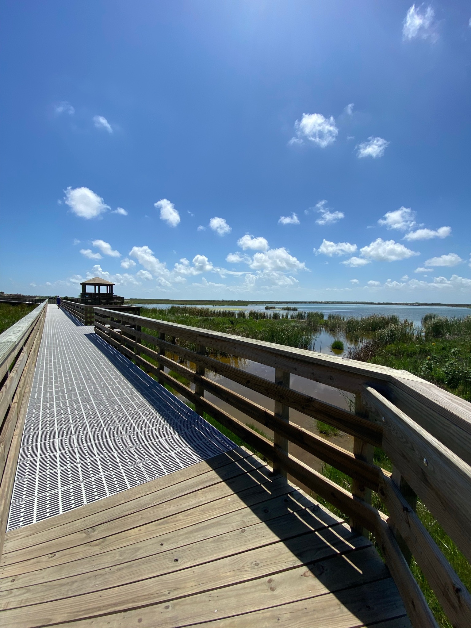 Leonabelle Turnbull Birding Center