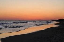 Why visit Golden Holden?