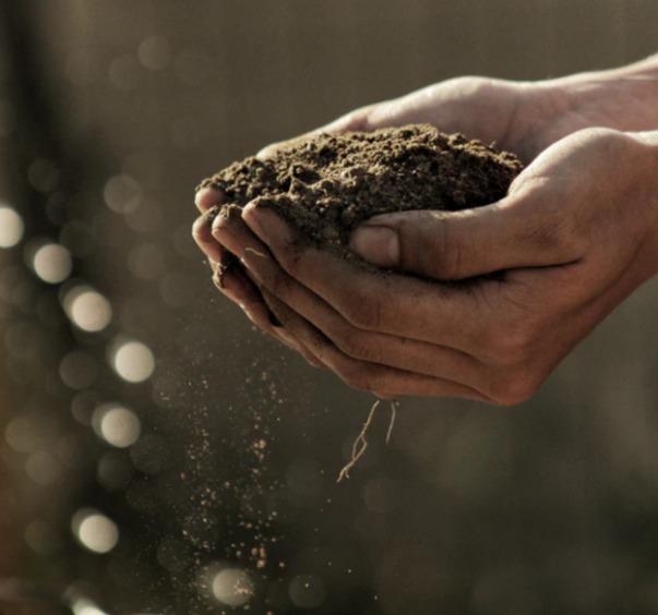 Educational ~ Composting by Zero Waste Cartel            If you want to know more