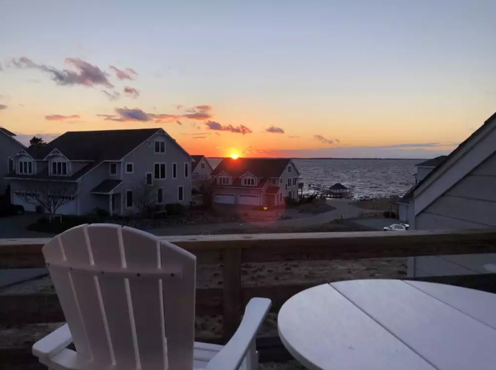 Traveling With Pets: Pet-friendly Rentals for Furry Companions