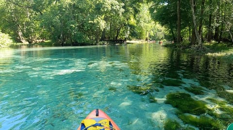 Parks and Springs on the Santa Fe River