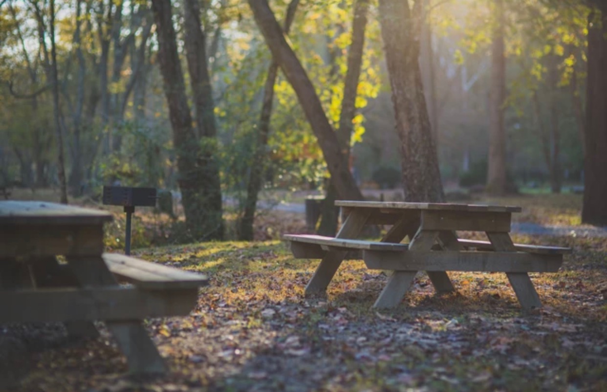 Parks within Coosawattee River Resort (CRR)