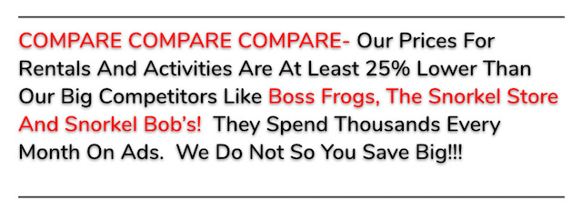 Auntie Snorkel. The Best Place To Rent Snorkel And Beach Gear On Maui