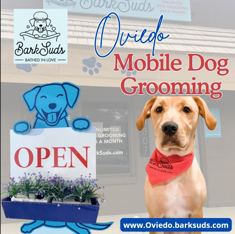 Making Life Easier with Mobile Dog Grooming Oviedo