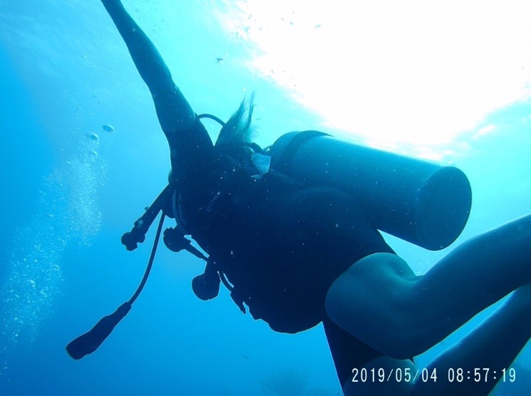 Tips while staying at The Divi Village Golf Resort in Aruba