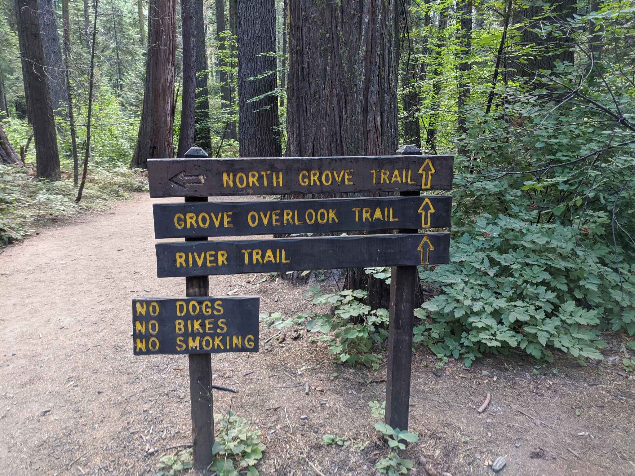 Few visitors know that Calaveras Big Trees State Park can be accessed from Upper Moran Road in the Blue Lake Springs neighborhood of Arnold,