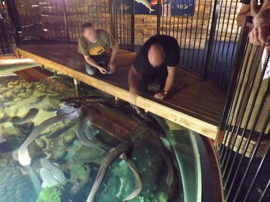 What To Do With The Kids When It Rains in Hokitika