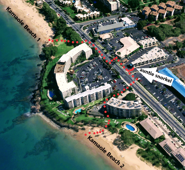 Auntie Snorkel. The Best Place To Rent Snorkel And Beach Gear On Maui