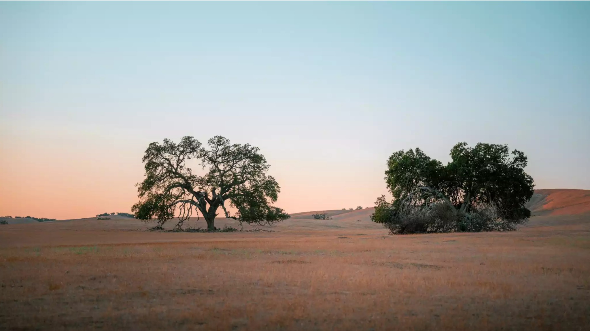 Houfy Spotlights One of our Top 10 Owners, Melanie & Jonathan Greer!