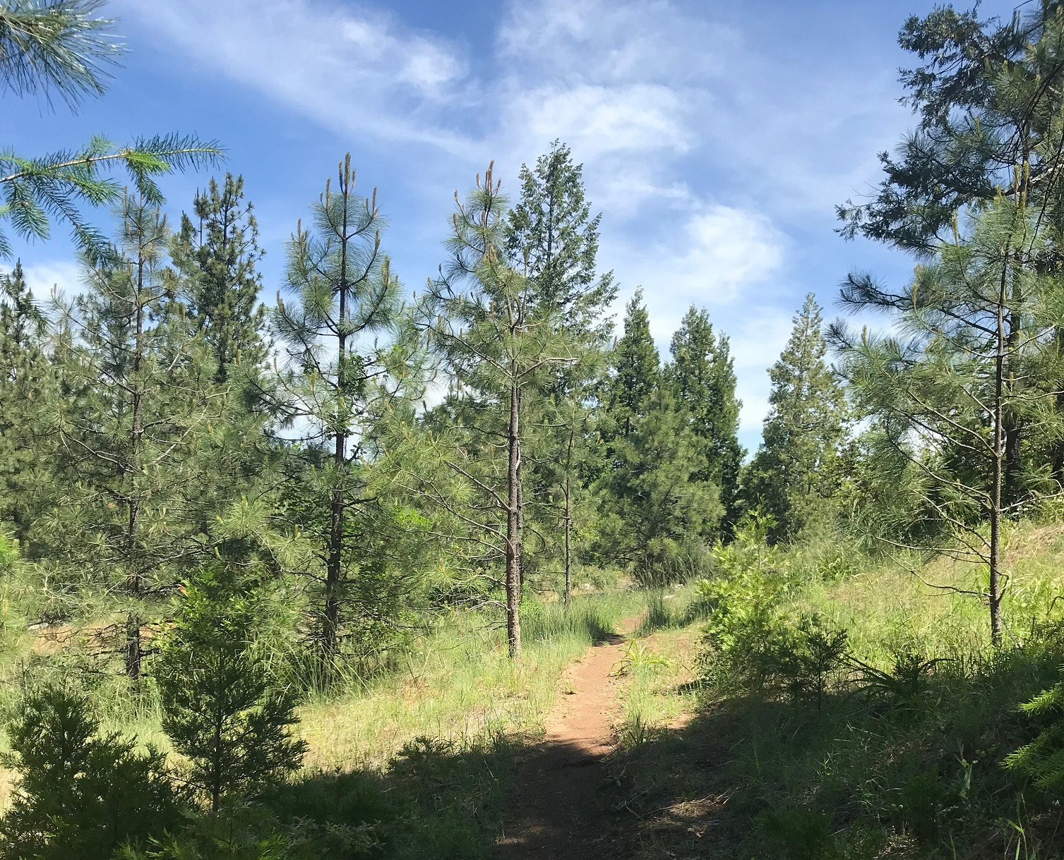 Stagecoach Trail (South Fork Consumnes River) - Part 1