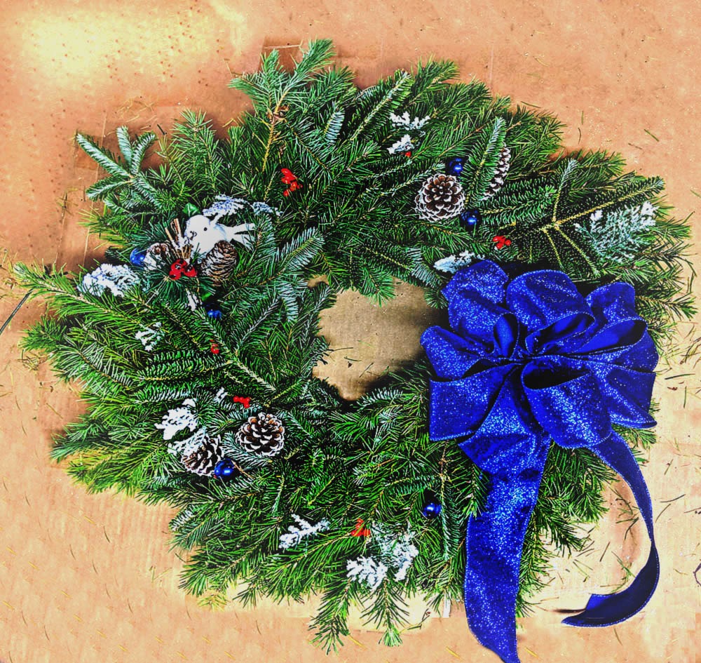 Farming Fun Near Hegins, PA