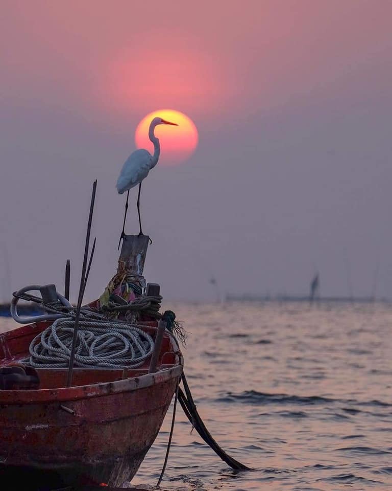 Beach Time! Discover The Forgotten Coast of the Florida Panhandle