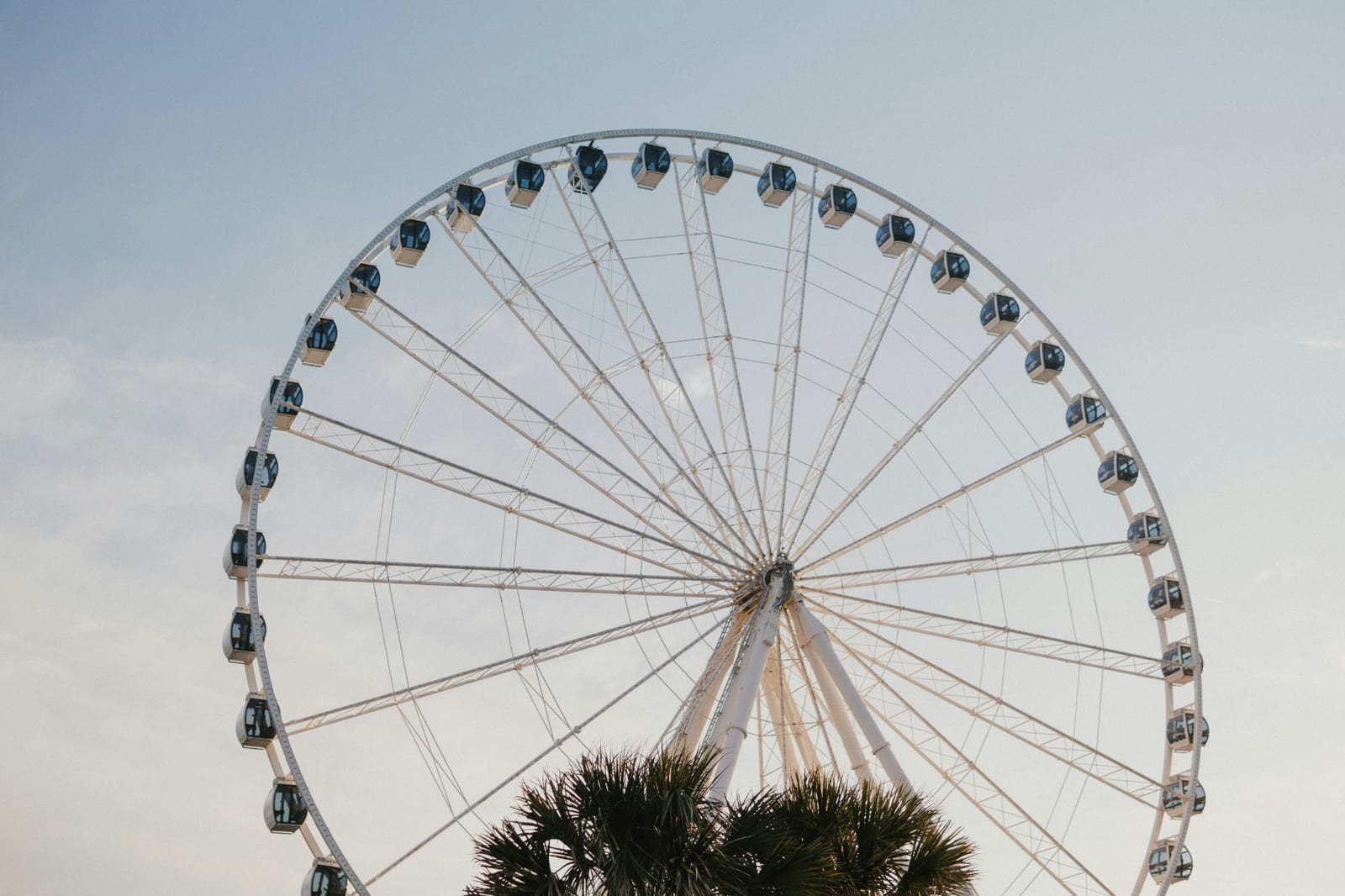 Best Spring Break Destinations for Families in the USA (2024)