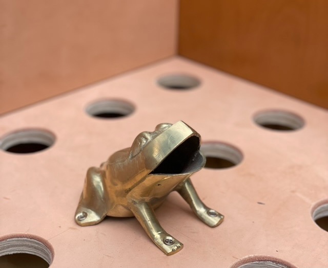 Juego de Sapo!